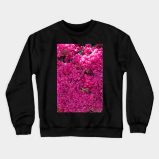 Bougainvillea Crewneck Sweatshirt